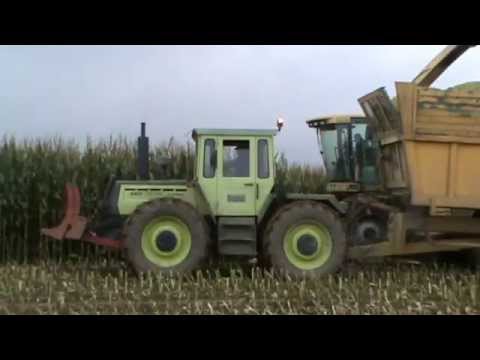 Loonw. Gotiaux - Chimay