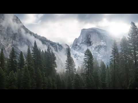 Filiz Kaya Bizim [Audio Only]