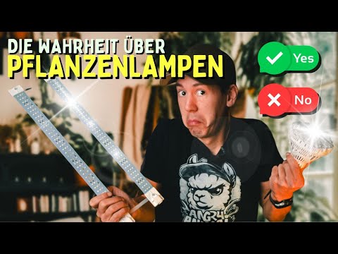 Pflanzenlampe 🤯 Hui oder Pfui - Wie viel Licht braucht deine Pflanze?