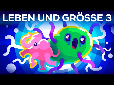 Bakterien so groß wie Blauwale - Leben & Größe 3