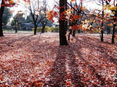 ピエールレー駅 - 定義