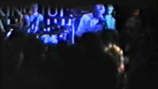 Die Toten Hosen - Born To Lose (Live)