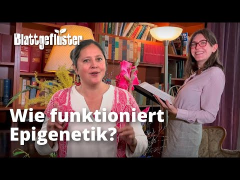 Wie funktioniert Epigenetik in Pflanzen?