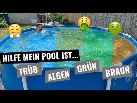 Hilfe meine Pool ist grün, braun, trüb, milchig - Was tun, wenn der Pool kippt!? 🤔