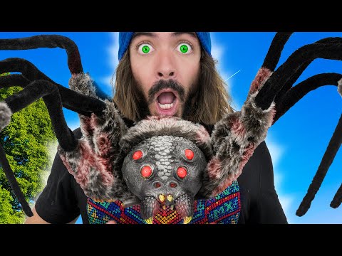GIANT Spiders EVERYWHERE!
