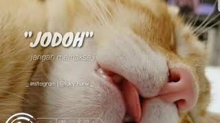 Download lagu Story WA terbaru | tentang Jodoh mp3