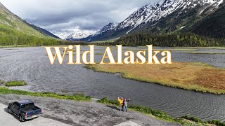 Ultimate ANCHORAGE Day Trip: Glacier Cruise & Bear Encounters!