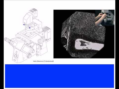 comment regler microscope