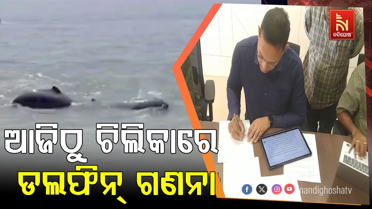 ଚିଲିକାରେ  ଆରମ୍ଭ ହେଲା ଡଲଫିନ ଗଣତି ; ଆଜି ଠାରୁ ୨୨ତାରିଖ ଯାଏ