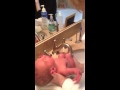 LucasRoss First Bath 2 12 2013