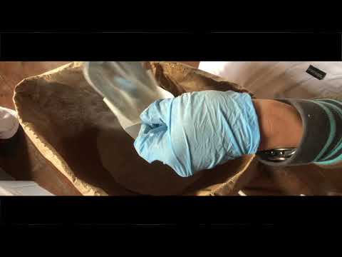 Virtual LCS - Discovery - Brixton Windmill