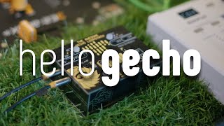 Video thumbnail for Meet the Awesome Gecho Loopsynth by Olivier Ozoux