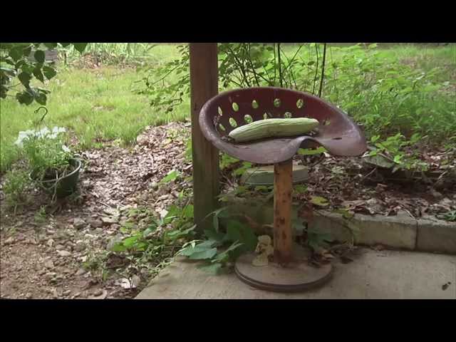 Vídeo relacionado con Nacimientos: Memorias de una comadrona (OTROS INTEGRAL)