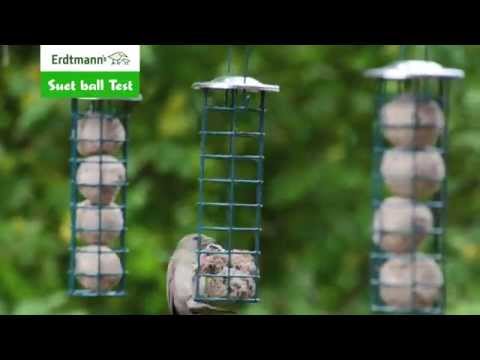 Erdtmanns Meisenknödel Qualitätstest