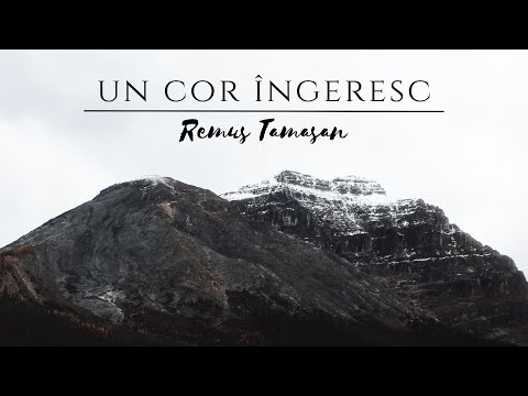 Remus Tamasan - Un cor ingeresc (Cover Audio)