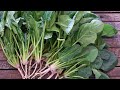 Quick Perfect Palak Cutting Techniques PalakCutting VegetableCutting CookingHack