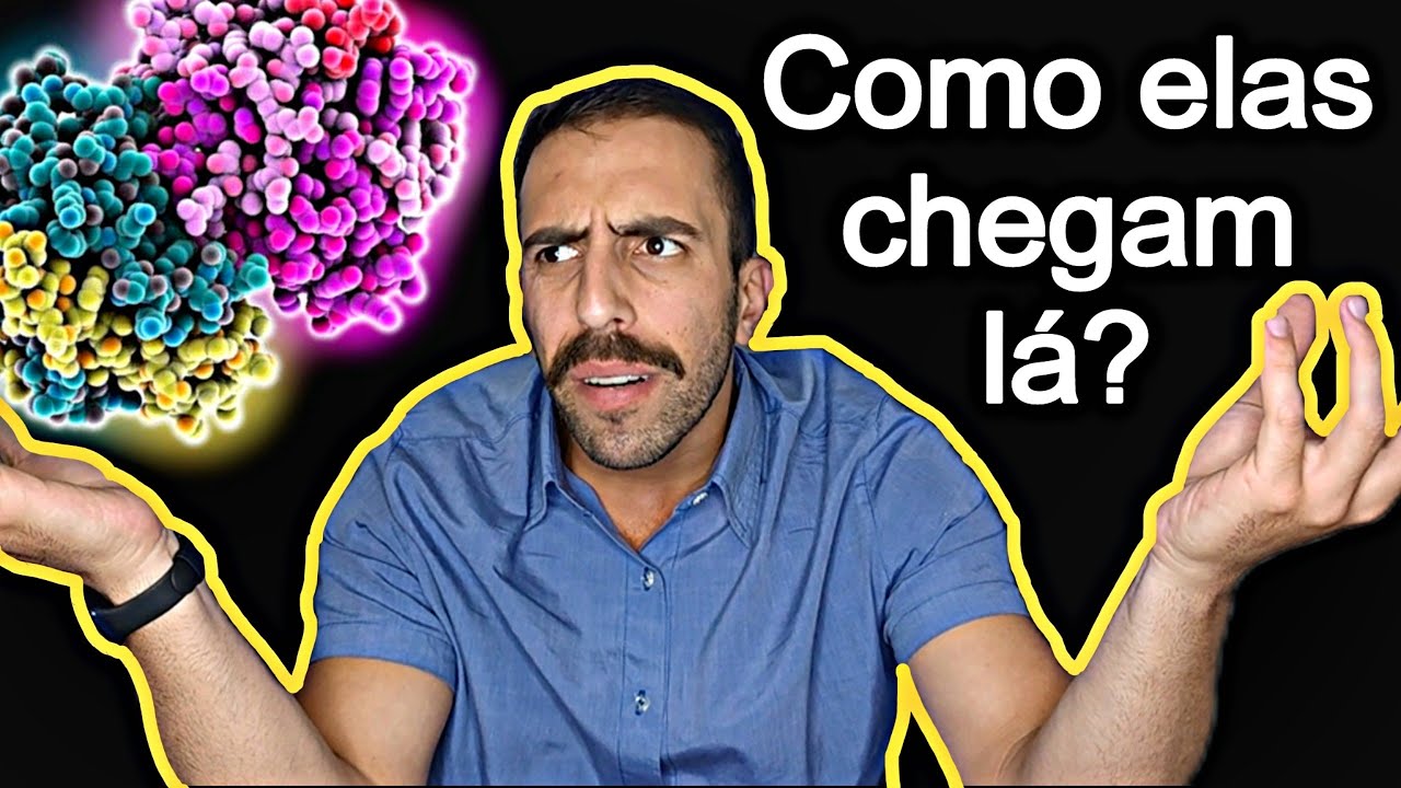 Como as proteínas reconhecem seus endereços dentro da célula?