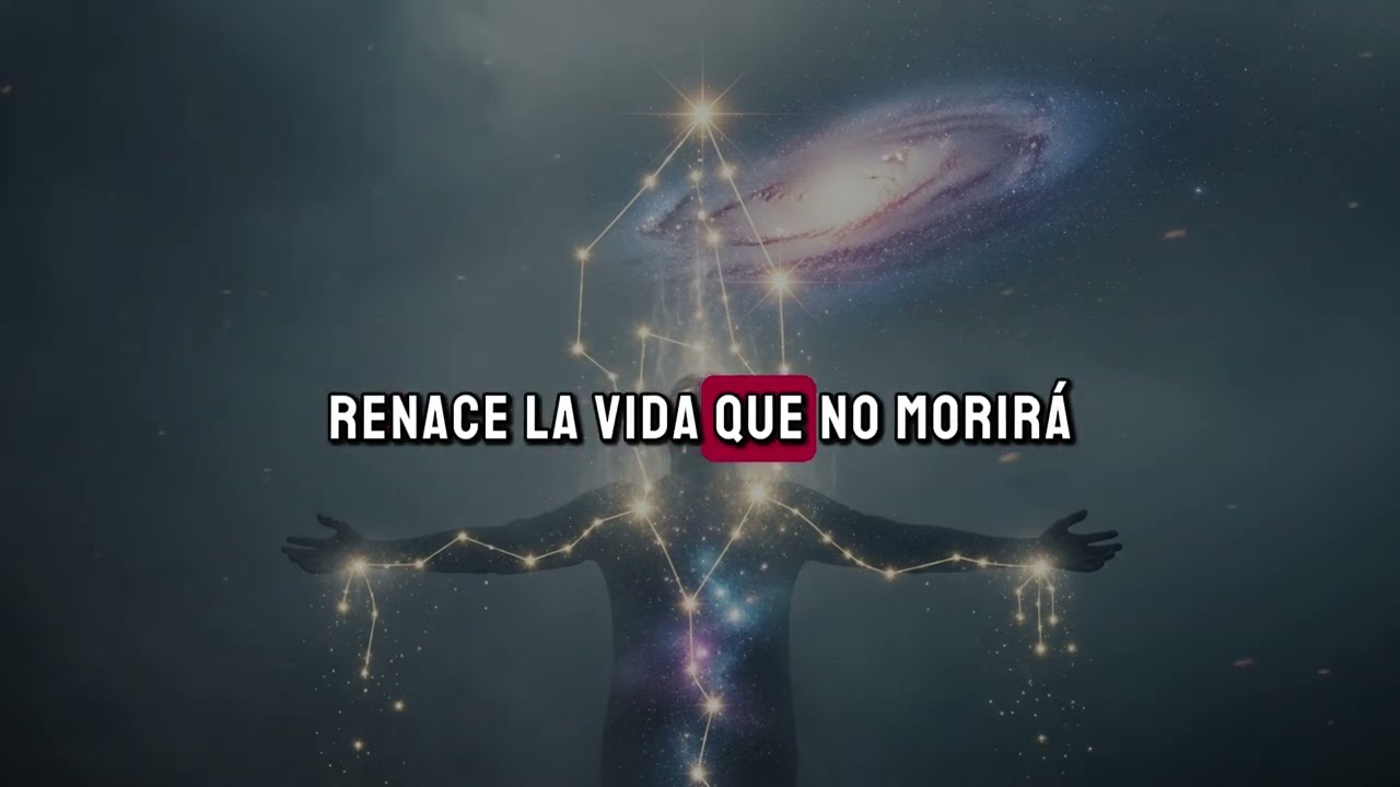 Video 5
