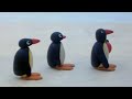 Pingu Spends Time With Friends Family