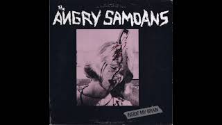 Angry Samoans - You Stupid Asshole