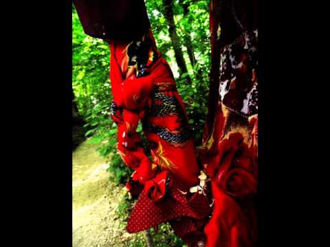 La botanique redécouverte Aline RaynalRoques Babelio