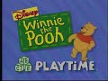 Winnie The Pooh Playtime Pooh Party Bumpers