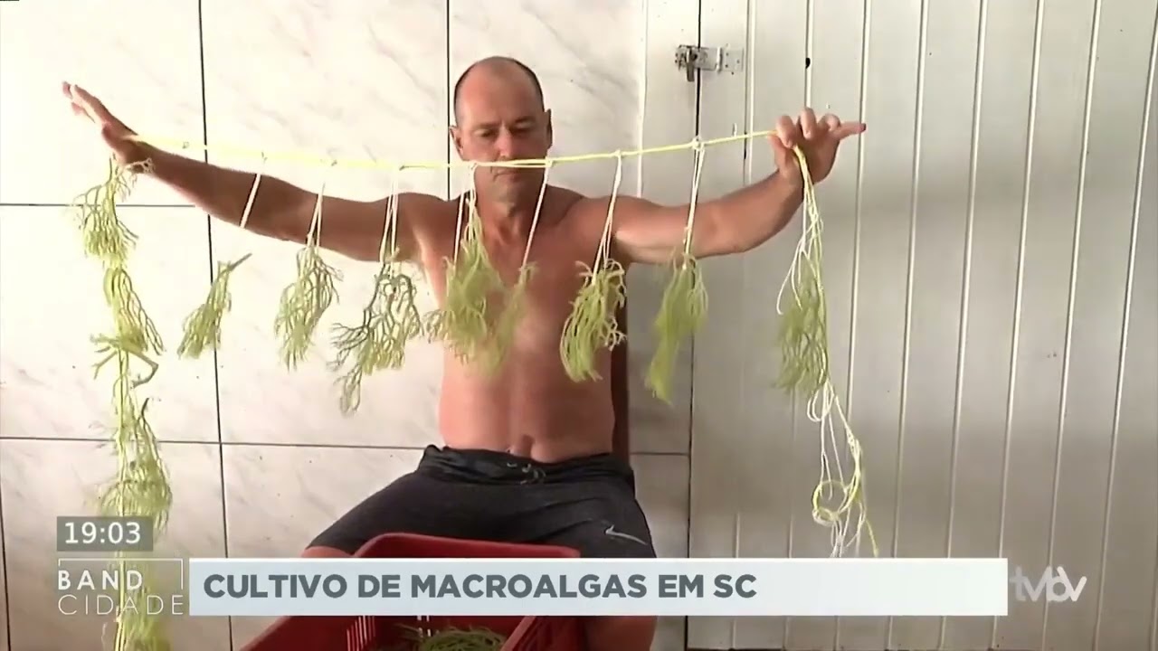Materia Band - Cultivo de macroalgas em Santa Catarina, entrevista Sr Ademir