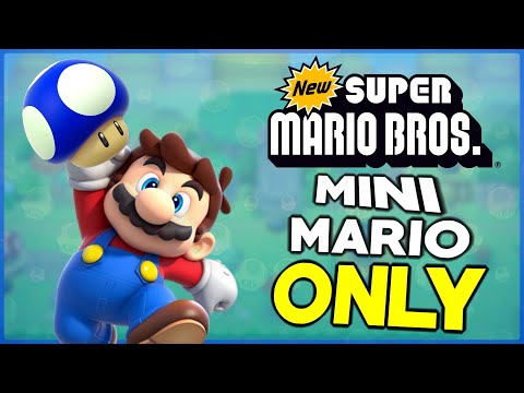 Is it possible to beat New Super Mario Bros. DS as Mini-Mario?