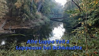 Alte Luppe Teil 2 Luppeaue bei Schkeuditz