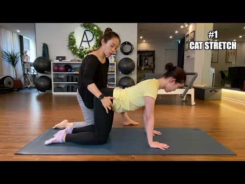 바디올로지 Hands-on Guide #1 Cat Stretch