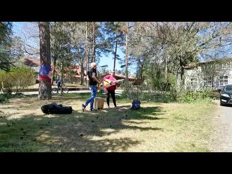 Alle Vögel sind schon da