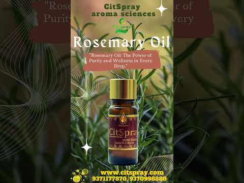 Rosemary Perfume Oil