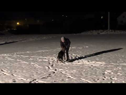 Merily z Jukasu - searching of blinds - 8 months old