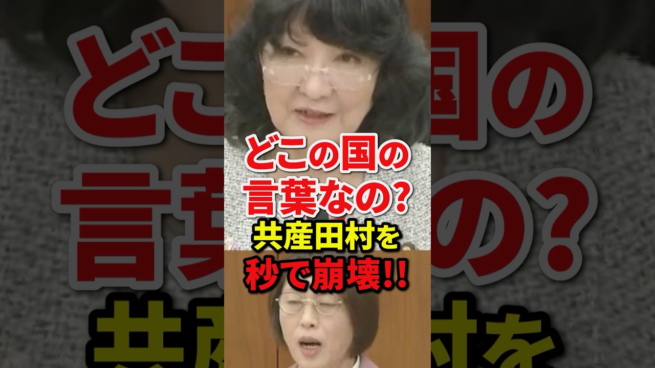 共産田辺議員勢いよく凸した結果→墓穴を掘り片山さつきに秒で崩壊されてしまう#自民党 #高市早苗 #小野田紀美 #shorts