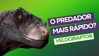 O predador mais rápido? Conheça o Velociraptor