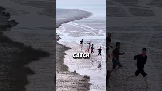 Is the tide fishing them?