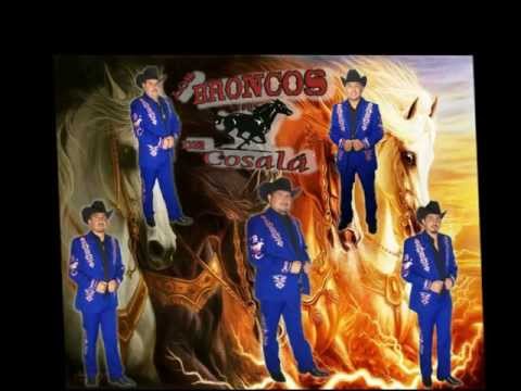 EL COSALTECO- LOS BRONCOS DE COSALA  2013