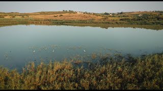 PER MARI LABELS - CONCEPT