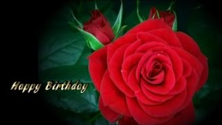 Happy Birthday Wishes (Chris Rea - Three Little Green Candles)