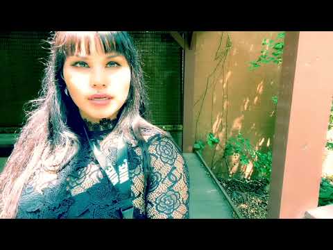 YO NO TE FALLE - NORALEE