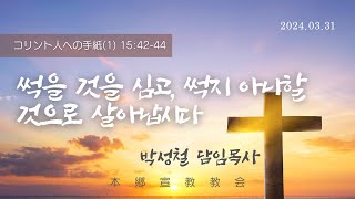 2024년3월31일, コリント人への手紙(1) 15:42-44(썩을 것을 심고, 썩지 아니할 것으로 살아납시다)