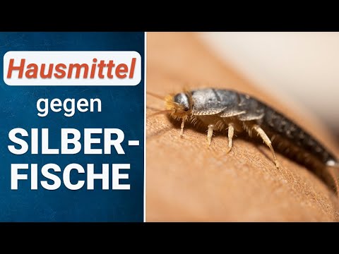 Matratzenschutz24 Youtube Thumbnail