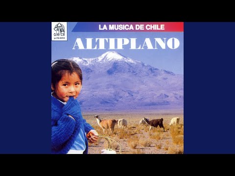 Cacharpaya de Carnaval