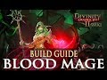 Divinity Original Sin 2 Builds Blood Mage Necromancer