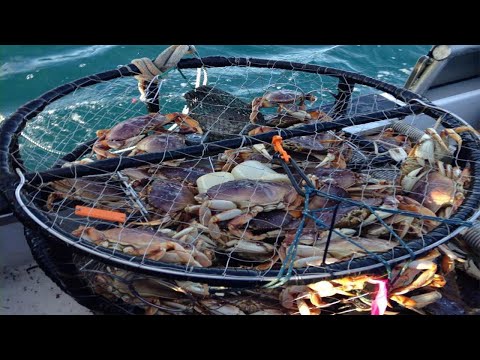 Awesome Crabbing Catching With Trap Underwater Deep - Modern Vessel Crab Fishing on The Sea