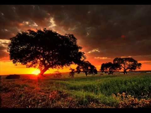 Brilha O Sol video