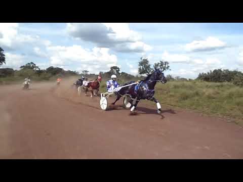 1.stalingrado.2.03.04. 2.youtube.2.03.88. 3.inglesa.4.catatau.