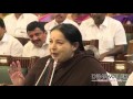 CM Jayalalitha Makes Fun Of DMK At TN Assembly Dinamalar