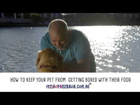How to Keep Your Pet From Getting Bored with Their Food
