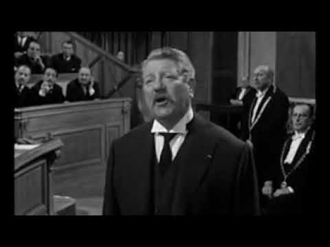 « Il y a aussi des "poissons volants", mais qui ne constituent pas la majorité du genre❗» 😛